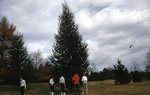 LU-257.345, Field Trip Colorado Blue spruce tree