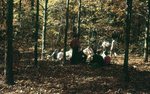 LU-257.378, Individuals gathered in the woods
