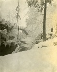 LU-083.1760 - Scranton Falls in winter, 1902