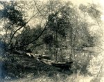 LU-157.0102 - Appomattox River, boat landing in Farmville, VA by John Chester Mattoon