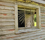 Old Plank Road house, Spotsylvania County by Candice Ransom