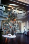 LU-120.345 - Rotunda, Christmas Tree, 1959