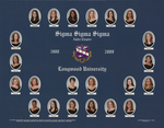 2009 Sigma Sigma Sigma Composite