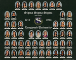 2013 Sigma Sigma Sigma Composite